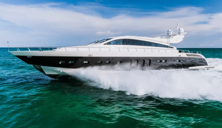 101 Leopard _ Photo 4