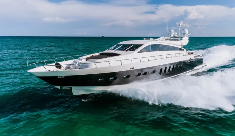 101 Leopard _ Photo 5